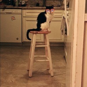 Meet your Posher, Cor